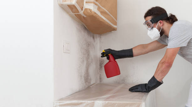 Professional Crawl Space Mold Removal technician working in Opa-locka, FL